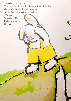 Chuyện Về Chú Thỏ Cool Nhất Hà Lan - Thỏ Riki Tai Cụp