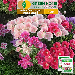 Phân Bón Ra Hoa, Greenhome, Micro Green, Gói 10gr, Tạo Mầm Hoa Cực Mạnh, Thúc Đẩy Ra Hoa Đồng Loạt, Hoa To, Lâu Tàn