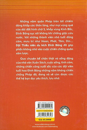 Sách Đội Thiếu Niên Du Kích Đình Bảng (Tái Bản 2021)
