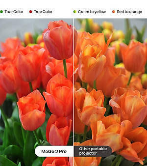 Máy chiếu Xgimi MoGo 2 Pro hàng chính hãng, Bản Quốc Tế - ZAMACO AUDIO