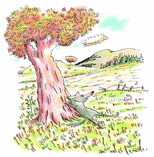 Sói Xám Siêu Xui Xẻo