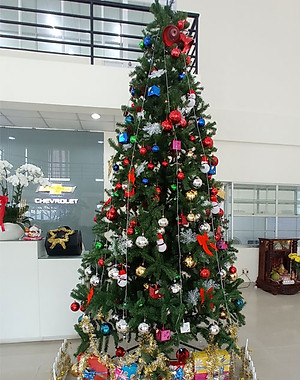 Cây thông noel màu xanh 1m2 - Tán dày và đẹp, cây thông chắc chắn và dể tháo lắp