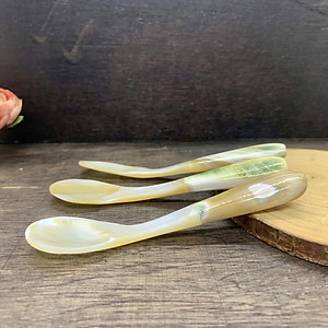 Thìa vỏ xà cừ - đuôi ốc biển cao cấp (CTH739) An kem/xúc gia vị/thìa cafe - An toàn cho sức khỏe 