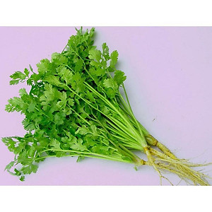 Hạt giống ngò bạc liêu Phú Nông (PN131417) - 20g