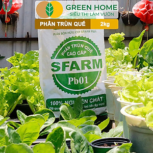 Phân Trùn Quế Greenhome, Bao 2kg, Dinh Dưỡng Hữu Cơ, Không Mùi, Tốt Cho Lan, Bonsai, Rau, Cây Ăn Trái