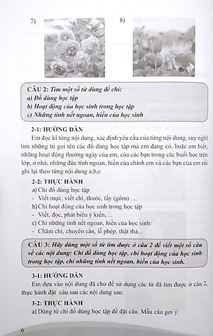 Luyện Từ Và Câu Lớp 2 (Theo Chương Trình Tiểu Học Mới)