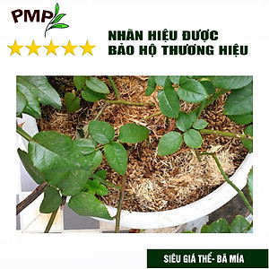 Combo Phân Hữu Cơ Cao Cấp Super Probio & Giá Thể Bã Mía Cho Hoa Hồng, Rau Sạch, Cây Cảnh