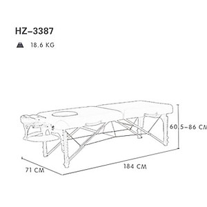 Giường spa di động cao cấp HZ 3387 giao màu ngẫu nhiên