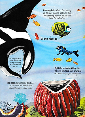 Sách Tương Tác - Big Book - Cuốn Sách Khổng Lồ Về Các Loài Động Vật Biển (Tái Bản 2018)