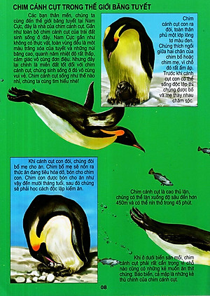 Sách Thế Giới Động Vật Kì Thú - Thế Giới Loài Chim