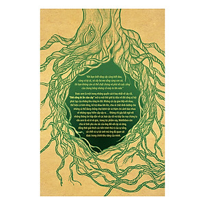 Sách Đời Sống Bí Ẩn Của Cây