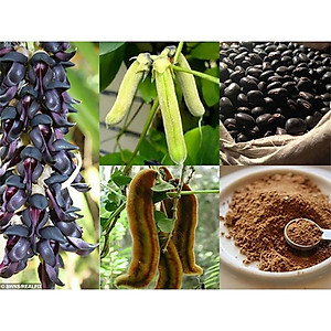 Thực phẩm bảo vệ sức khỏe Khớp khỏe mạnh Teresa Herbs Healthy Joint (lọ 90 viên)