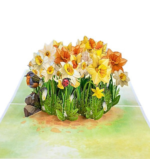 Thiệp 3D Pop Up Hoa Thủy Tiên Vàng – Thiệp Hoa Nghệ Thuật, Thiệp Chúc Mừng, Sinh Nhật, May Mắn, F56