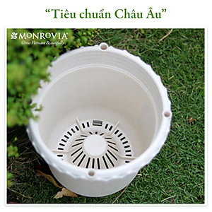 Chậu nhựa trồng cây MONROVIA thông minh, decor trang trí chuyên cho hoa hồng, cây cảnh, ban công, nhập khẩu tiêu chuẩn Châu Âu