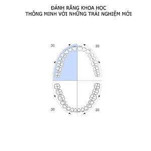 Đầu bàn chải đánh răng điện nhãn hiệu Philips HX6011