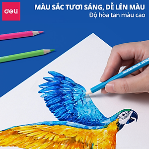 Bút Chì Màu Gốc Nước Cao Cấp Deli 24/36/48/72 Màu Hộp Thiếc - Không Dễ Gãy Tô Vẽ Tranh Chuyên Nghiệp
