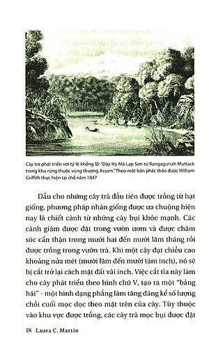 Sách Lịch Sử Của Trà