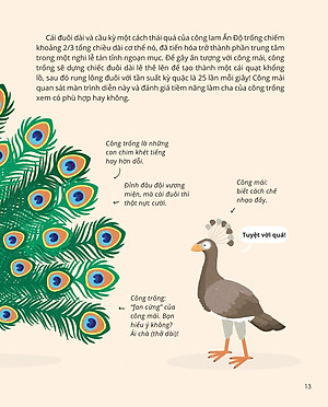 100++ Bí Ẩn Về Tự Nhiên - Những Động Vật Kỳ Diệu Nực Cười Nhất