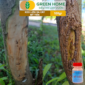 Keo Liền Sẹo Cho Cây Greenhome, Mỹ Tiến, Chai 100gr, Liền Nhanh Vết Cắt Da Cây, Chiết Cành, Tạo Dáng Bonsai, Lan, Kiểng