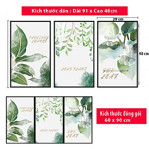 Sticker Decal Dán tường các mẫu khung tranh siêu đẹp in màu chất lượng cao có keo mặt sau