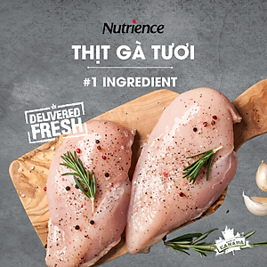 Thức Ăn Cho Mèo Con Khỏe Mạnh Nutrience Infusion Bao 2.27kg - Thịt Gà, Rau Củ Và Trái Cây Tự Nhiên