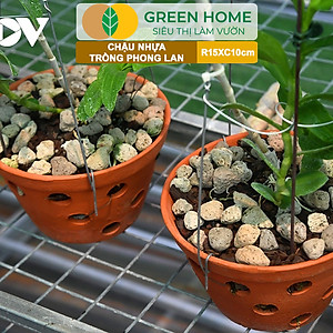 Chậu Trồng Lan Greenhome, R15xC10cm, Nhựa Màu Gốm, Bền, Đẹp, Chống Rơi Vỡ, Thoáng Rễ, Giá Thành Tốt