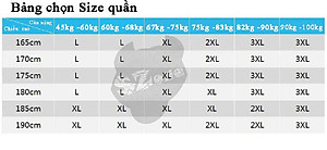 Quần shorts đi biển nam SQ211 4 màu