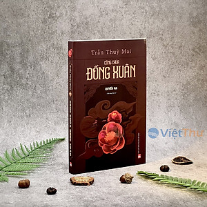 Tiểu thuyết lịch sử trọn bộ 2 tập -  CÔNG CHÚA ĐỒNG XUÂN - Trần Thùy Mai