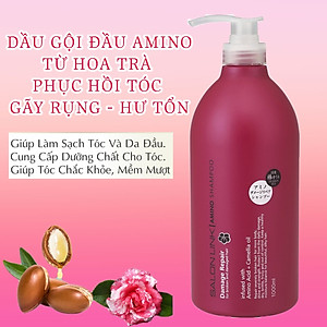 Dầu Gội Đầu Phục Hồi Tóc Hư Tổn Chiết Xuất Hoa Trà Salon Link Amino Shampoo (1000 mL)