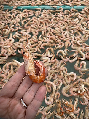 Tôm Khô Tôm Đất Đặc Sản Cà Mau - Hộp 152 GRAM