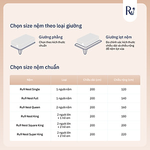 Nệm Foam Nest Ru9 15cm Cao Cấp | Ngăn Cách Chuyển Động | 2 Lớp Foam Nâng Đỡ | 6 Kích Thước