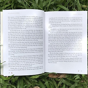 Sách Côn Trùng Ký Của Fabre