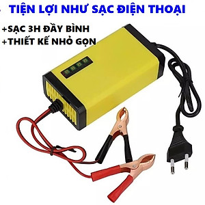 Bộ sạc bình ắc quy tự động ngắt 12V 2Ah-20Ah sạc acquy xe máy, có đèn led