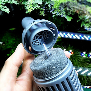 Lọc Bio - Lọc Sủi Vi Sinh Thái Lan Cho Bể Cá Cảnh, Cá La Hán