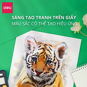 Bộ Màu Nước Nén Water Color Cao Cấp 24 36 48 Màu Tặng Bút Lông Nước, Mút, Cọ, Tẩy, Bút Chì, Gọt, Màu Trắng Deli - Chuyên Dùng Cho Học Sinh, Sinh Viên, Vẽ Mĩ Thuật Chuyên Nghiệp