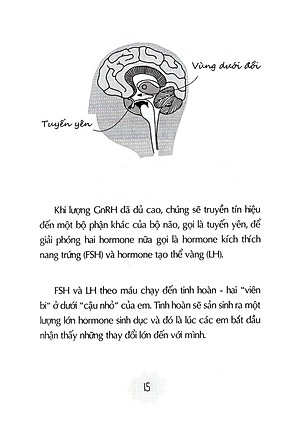 Sách Tuổi Dậy Thì - Từ “Cậu Bé” Đến “Anh Chàng"
