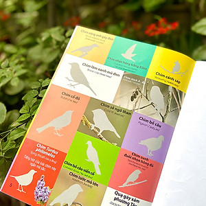 Sách Dán hình nhận biết động vật - Chim và côn trùng