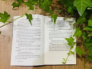 THƯ VIỆN NỬA ĐÊM (Bìa mềm)