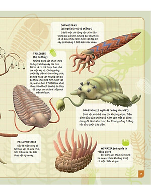 Sách Theo Dòng Thời Gian - Thời Tiền Sử