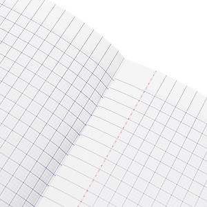 Tập Học Sinh Bánh Việt - Miền Nam - 4 Ô Ly - 96 Trang 80gsm - The Sun 03 - Bánh Ít Lá Gai