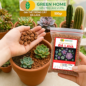 Đá Nham Thạch Lava GreenHome, Bao 500GR, Giá Thể Cho Thủy Sinh, Bonsai, Xương Rồng Màu Đỏ, Đen, Sạch Bụi