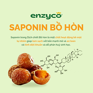 Nước Lau sàn sinh học ENZYCO 2L - Chiết xuất Bồ hòn và Enzyme Dứa