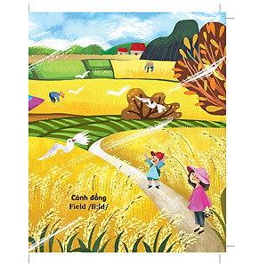 Sách Âm Thanh - Âm Thanh Của Thiên Nhiên