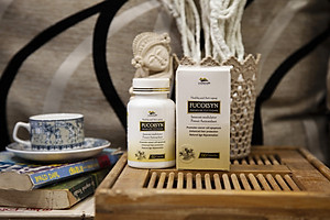 Fucoisyn (Premium Fucoidan)