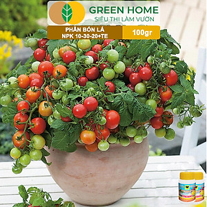 Phân Bón Lá Đầu Trâu MK 501-701-901, GreenHome,Chai 100GR,Đặc Biệt Dành Cho Hoa Lan Và Cây Cảnh