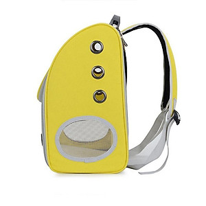 Balo Vuông Nhựa Dẻo Trong Suốt Vận Chuyển Chó Mèo