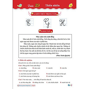 Sách - Combo Bài Tập Tuần và Đề Kiểm Tra Lớp 1 Cánh Diều - Môn Toán và Tiếng Việt học kì 2 (4 cuốn)