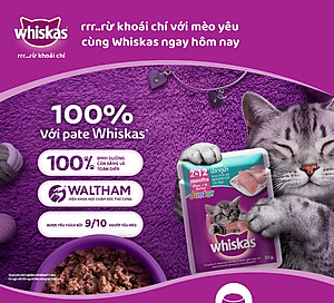 Pate Cho Mèo Con Vị Cá Thu Whiskas Kitten Hộp 12 Gói 80g