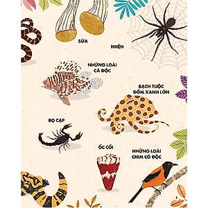 Sách Bách Khoa Tri Thức Dành Cho Trẻ Em - Các Sinh Vật Cực Độc Trên Trái Đất