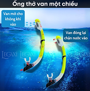 Ống Thở Bơi Lặn Biển Ngắm San Hô Đáy Biển Dã Ngoại Picnic